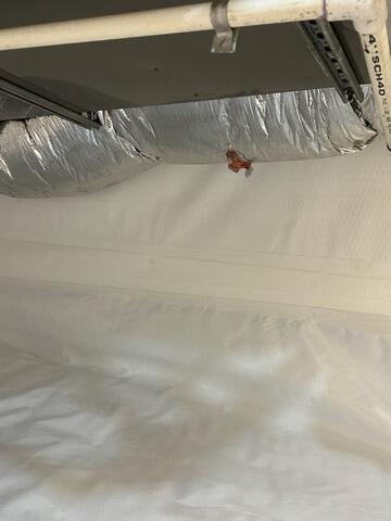 Crawl Space Repair in Ocean Gate, NJ