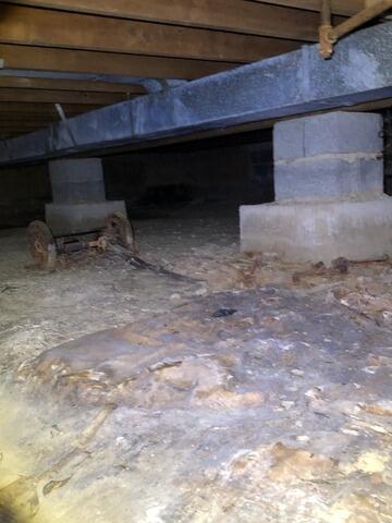 Crawl Space Encapsulation in Trenton, NJ