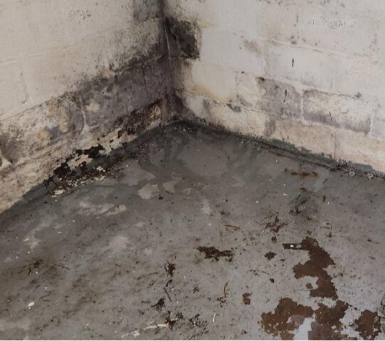 BrightWall in Teaneck, NJ - Before Photo