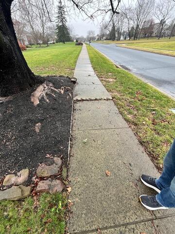 Lifting a Sunken Sidewalk in North Wales, PA - Before Photo