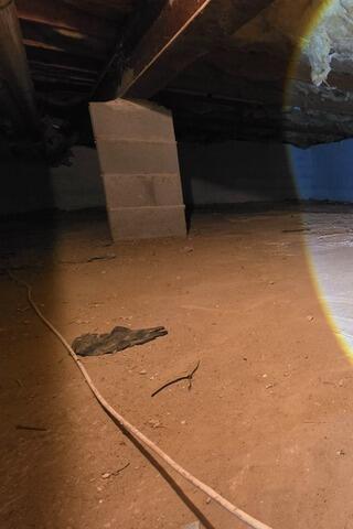 Crawl Space Encapsulation in Severna Park, MD - Before Photo