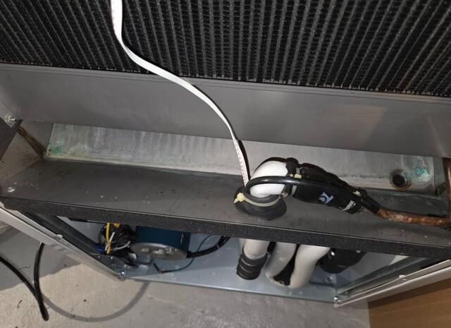 SaniDry XP Annual Maintenance in Hillsborough, NJ - Before Photo