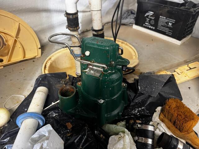 Disassembling and Cleaning of Pumps in TripleSafe in Reistertown, MD - Before Photo