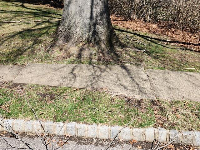 Fixing a Concrete Sidewalk in Marlboro, NJ - Before Photo