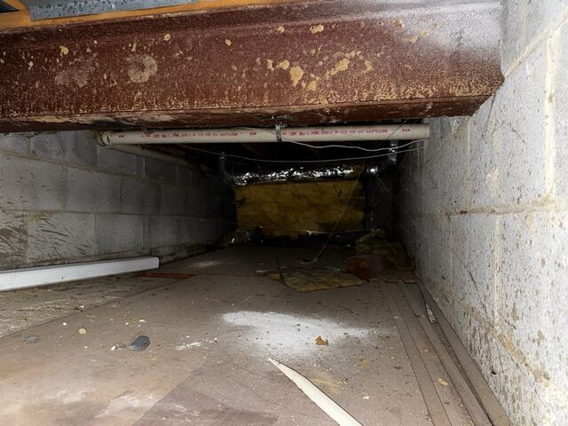 Crawl Space Vapor Barrier in Wilmington, DE - Before Photo