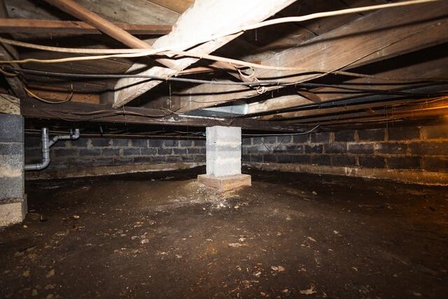 Transforming a Crawl Space in Deepwater, NJ - Before Photo