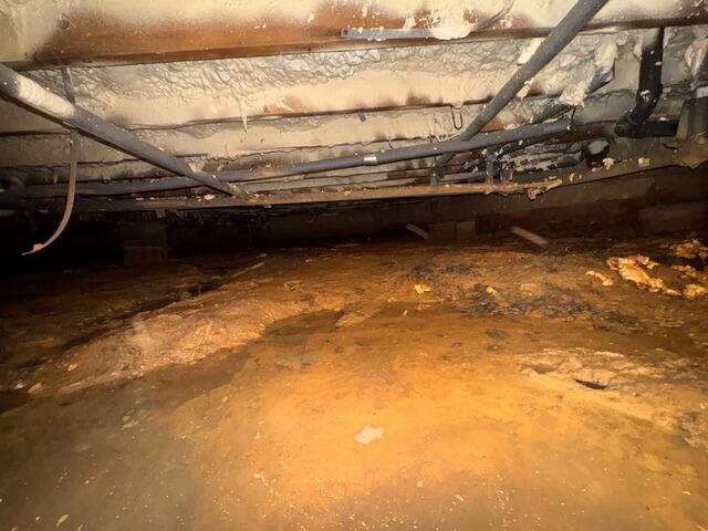 Crawl Space Encapsulation in Surf City, NJ - Before Photo