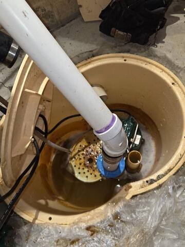 Annual Maintenance on TripleSafe Sump Pump System in Englishtown, NJ - Before Photo