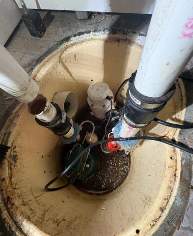 TripleSafe Sump Pump System Annual Maintenance and Cleaning in Edison, NJ - Before Photo