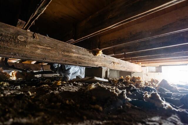 TrueFloor Wood Repair and Crawl Space Encapsulation in Brick, NJ - Before Photo