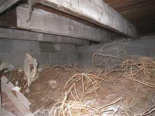 Bloomfield, NJ Crawl Space CleanSpace Make Over