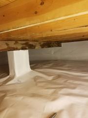 Damp, Moldy Crawl Space Transformed with CleanSpace Vapor Barrier in Voorhees, NJ