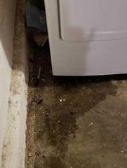 Wet Basement Repaired In Rockaway, NJ
