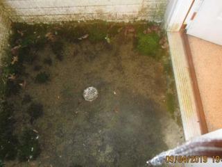 Forest Hill, Waterproofing Job