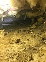 Narrow Musty Crawl Space in Havre De Grace, MD