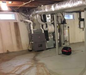 Clean, Bright Basement Walls in Watchung, NJ