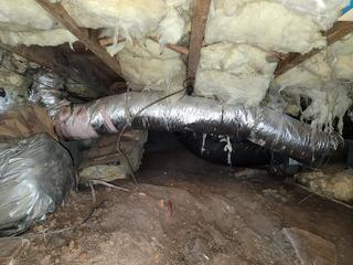 Crawl Space Encapsulated in Little Egg Harbor, NJ