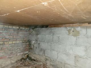 Crawl Space Repair in Irvington, NJ