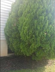 In-Swing Egress Window Install in Downingtown, PA