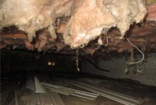 Nasty Crawlspace Makeover in Severn, MD
