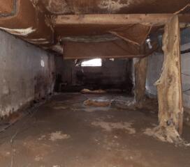 Crawlspace Encapsulation in Galena, MD