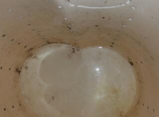 Sump Pump Maintenance in Ringwood, NJ