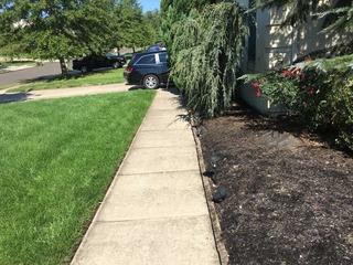 Concrete Sidewalk Repair in Sicklerville, NJ