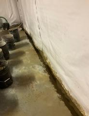 WaterGuard in West Chester, PA
