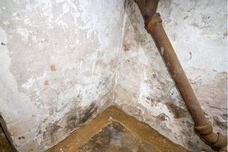 Basement Waterproofing in Plymouth Meeting, PA