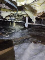 Tackling Crawl Space Moisture Intrusion In Carvel Beach, MD