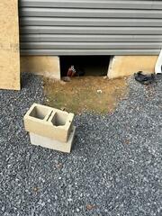 Resolving Crawl Space Moisture In Salem, NJ