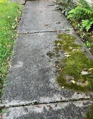 Concrete Repair in Schwenksville, PA