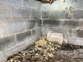 Crawl Space Repair in Cresskill, NJ