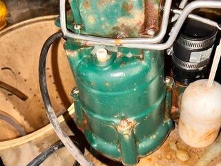 Disassembling and Cleaning of Pumps in TripleSafe System in Glen Gardner, NJ