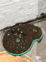 SuperSump Annual Service in Brooklyn, NY
