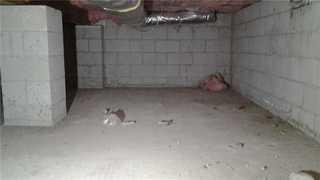 Crawl Space Encapsulation in Point Pleasant, NJ