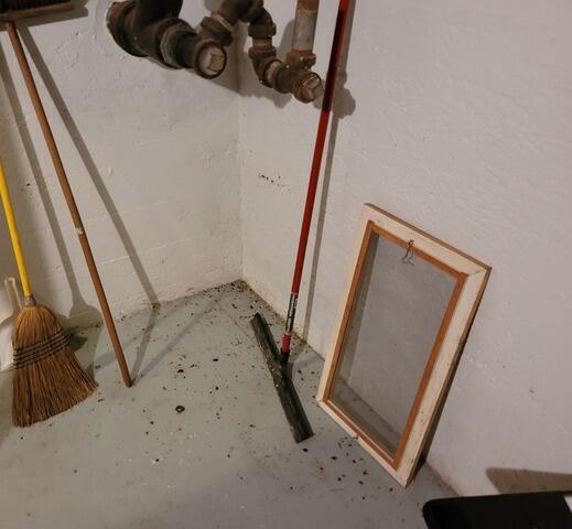 Wet Basement Waterproofing In Lac Du Flambeau, WI - Before Photo