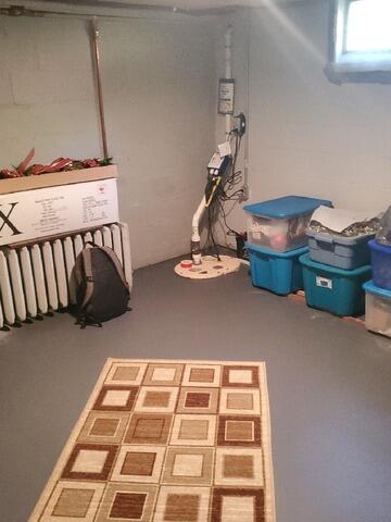 Humidity Issues Solved with Dehumidifier Installation in Niagara, WI - Before Photo