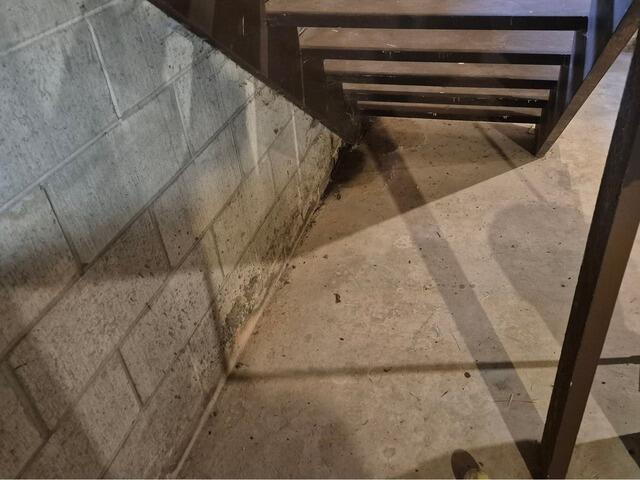 Sump Pump Contractor in Tomahawk, WI - Before Photo