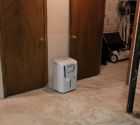 SaniDry Sedona Dehumidifier Eliminates Damp, Musty Odors in Fence, WI