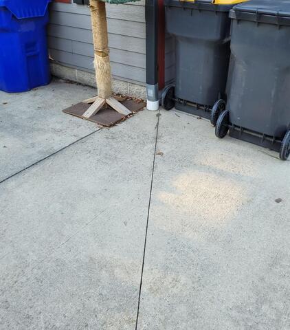 Sinking, Uneven Concrete Lifted, Leveled, and Sealed in Random Lake, WI - Before Photo