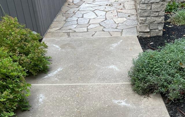 Settling Concrete Sidewalk Lifted & Sealed in Crivitz, WI - After Photo