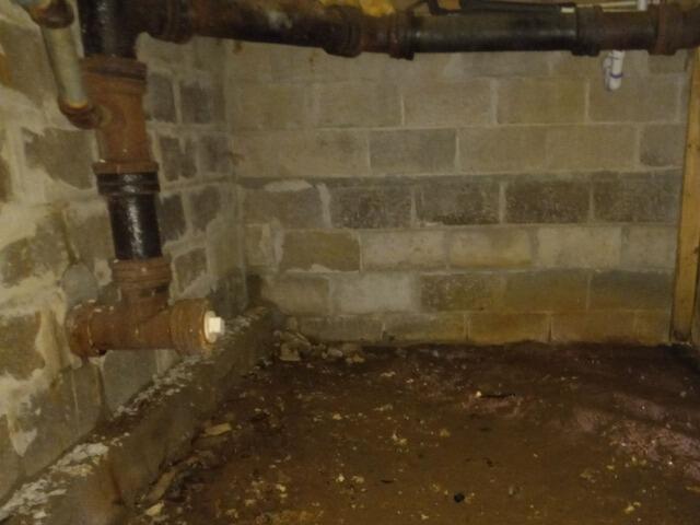 Crawl Space Vapor Barrier Installation & Floor Joist Repair in Florence, WI - Before Photo