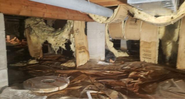 Musty Crawl Space Encapsulated in Shawano, WI - Before Photo