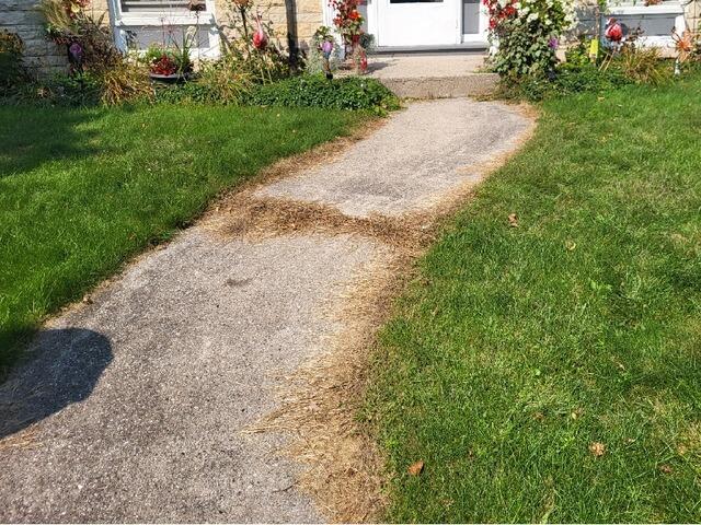 Sunken Sidewalk Lifted and Leveled in Oconto, WI - Before Photo