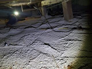 Crawl Space Support Systems Available in Green Bay, WI