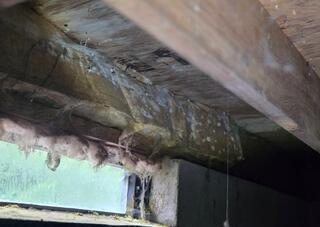 Crawl Space Mold & Moisture Repair at Shawano Lake, WI