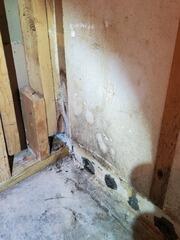Wet Basement Repair in Hazelhurst, WI