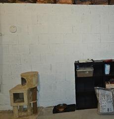 Bowing Block Wall Foundation Supported & Stabilized With PowerBraces In Kewaskum, WI