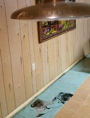 Waterproofing Contractor in Junction City, WI